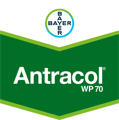 Antracol®