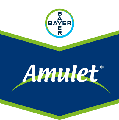 Amulet®