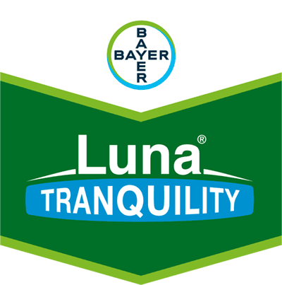 Luna® Tranquility