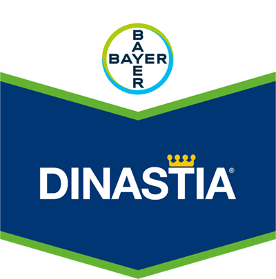 Dinastia®